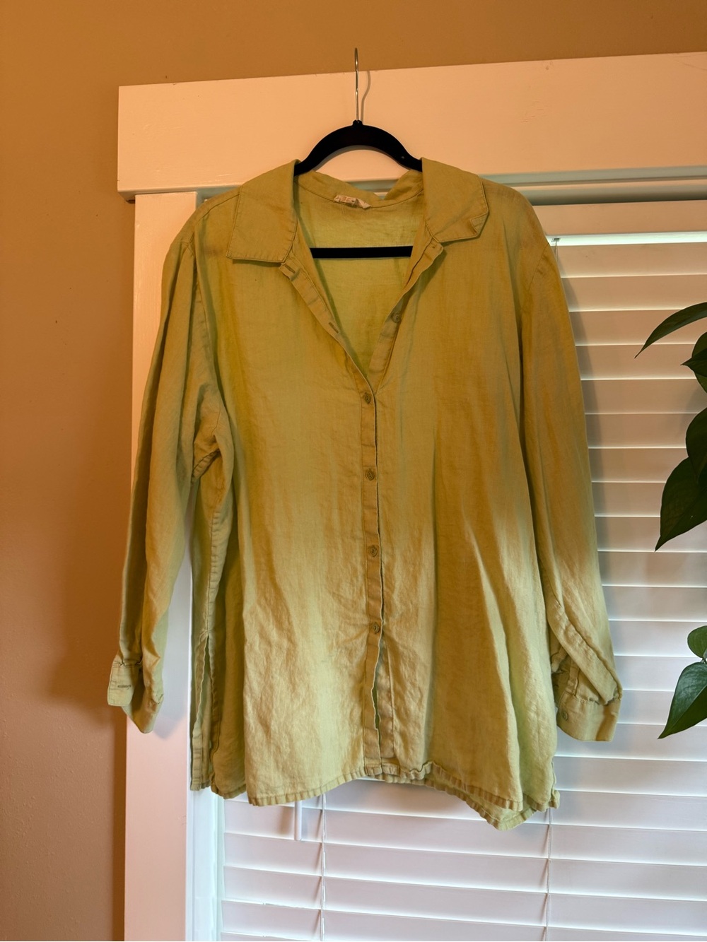 Eileen Fisher Light Green Button-Up Linen Shirt